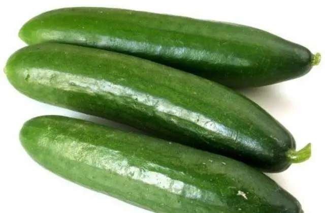 Varieties of long-fruited cucumbers