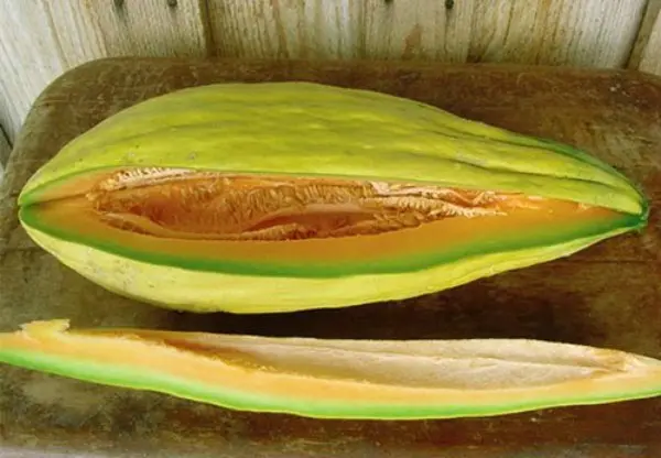 Varieties of melon from all over the world: reviews and descriptions