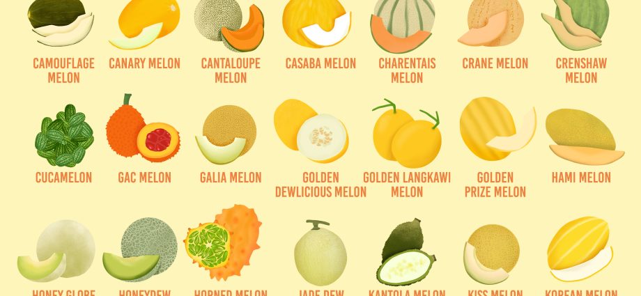 Varieties of melon from all over the world: reviews and descriptions