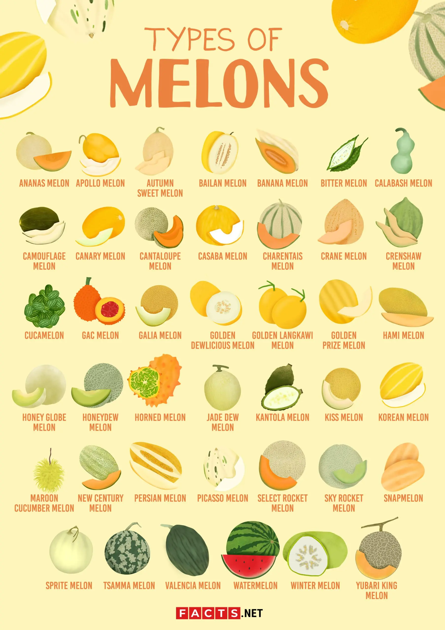 Varieties of melon from all over the world: reviews and descriptions