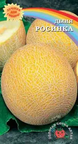 Varieties of melons: photos and names