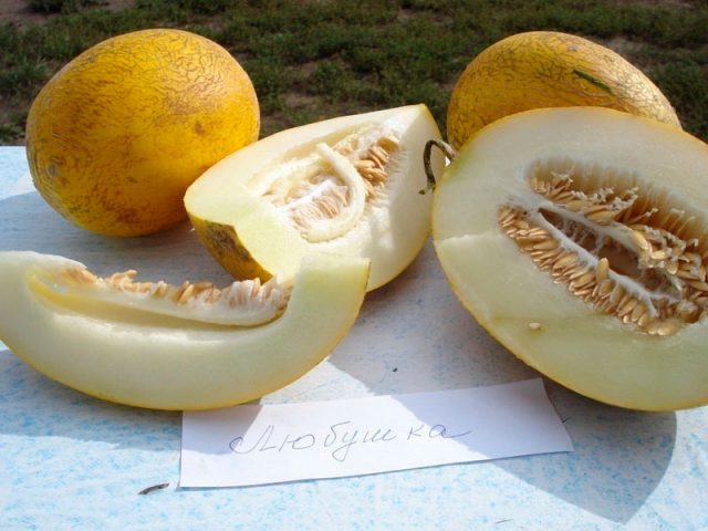 Varieties of melons: photos and names