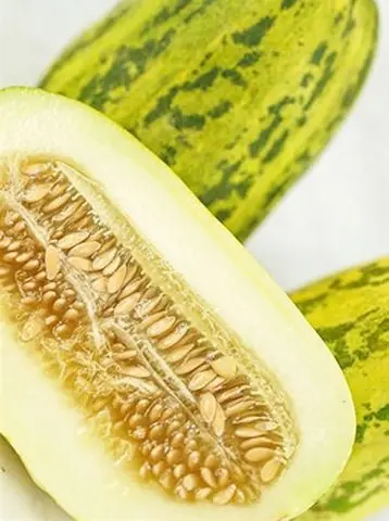 Varieties of melons: photos and names