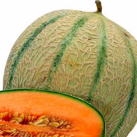 Varieties of melons: photos and names