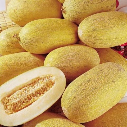 Varieties of melons: photos and names