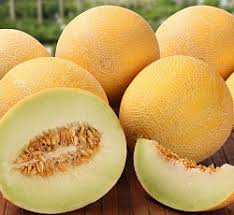 Varieties of melons: photos and names