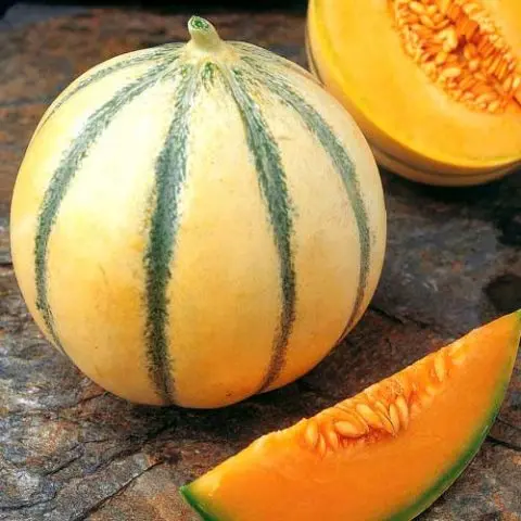 Varieties of melons: photos and names