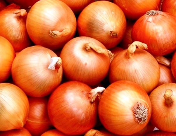 Varieties of onions: description and characteristics of classifications