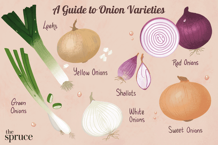 Varieties of onions: description and characteristics of classifications