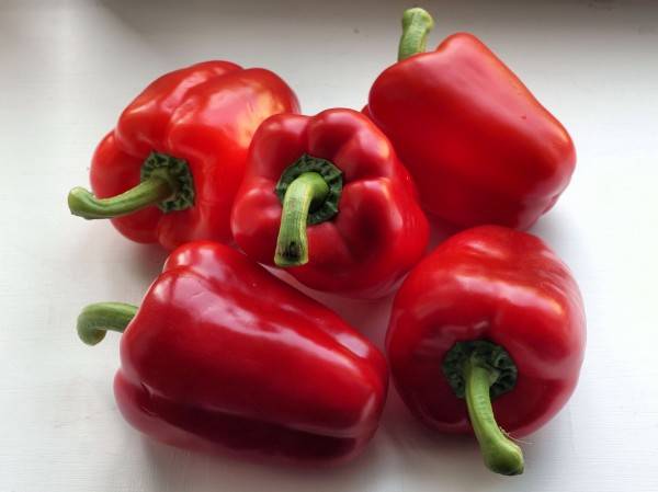 Varieties of pepper for open ground