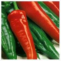 Varieties of peppers for Siberia and the Urals