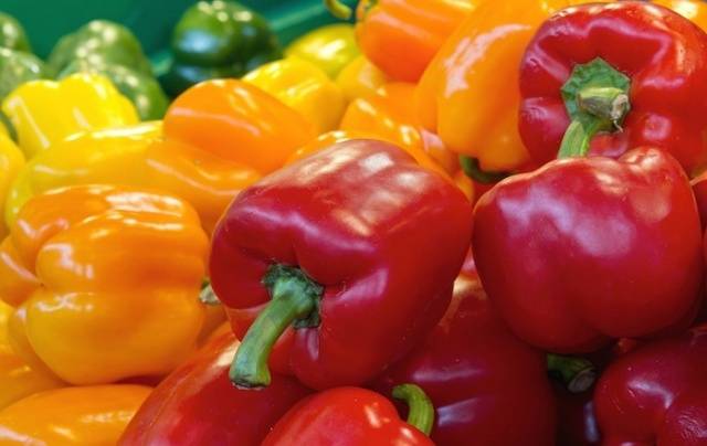 Varieties of peppers Star of the East: Tangerine, Giant, White in red, Red, Yellow, Chocolate