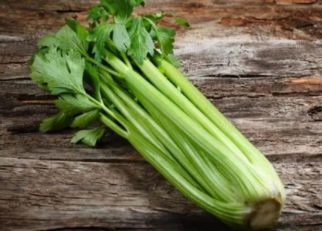 Varieties of petiole celery