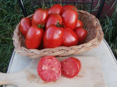 Varieties of plum tomatoes