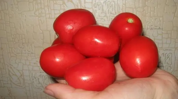 Varieties of plum tomatoes