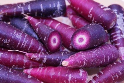 Varieties of purple carrots