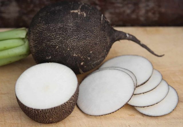 Varieties of radish