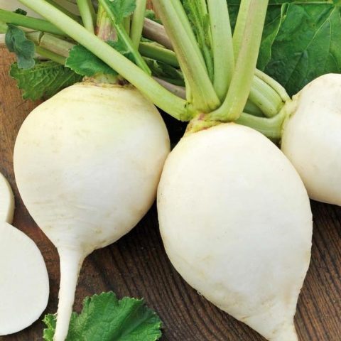 Varieties of radish