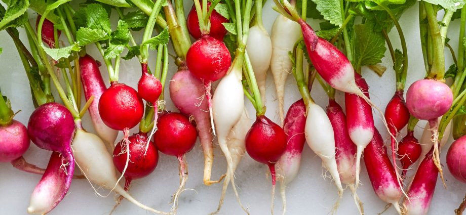 Varieties of radish