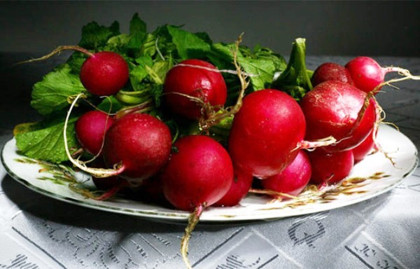 Varieties of radish for greenhouses: an overview of the most popular