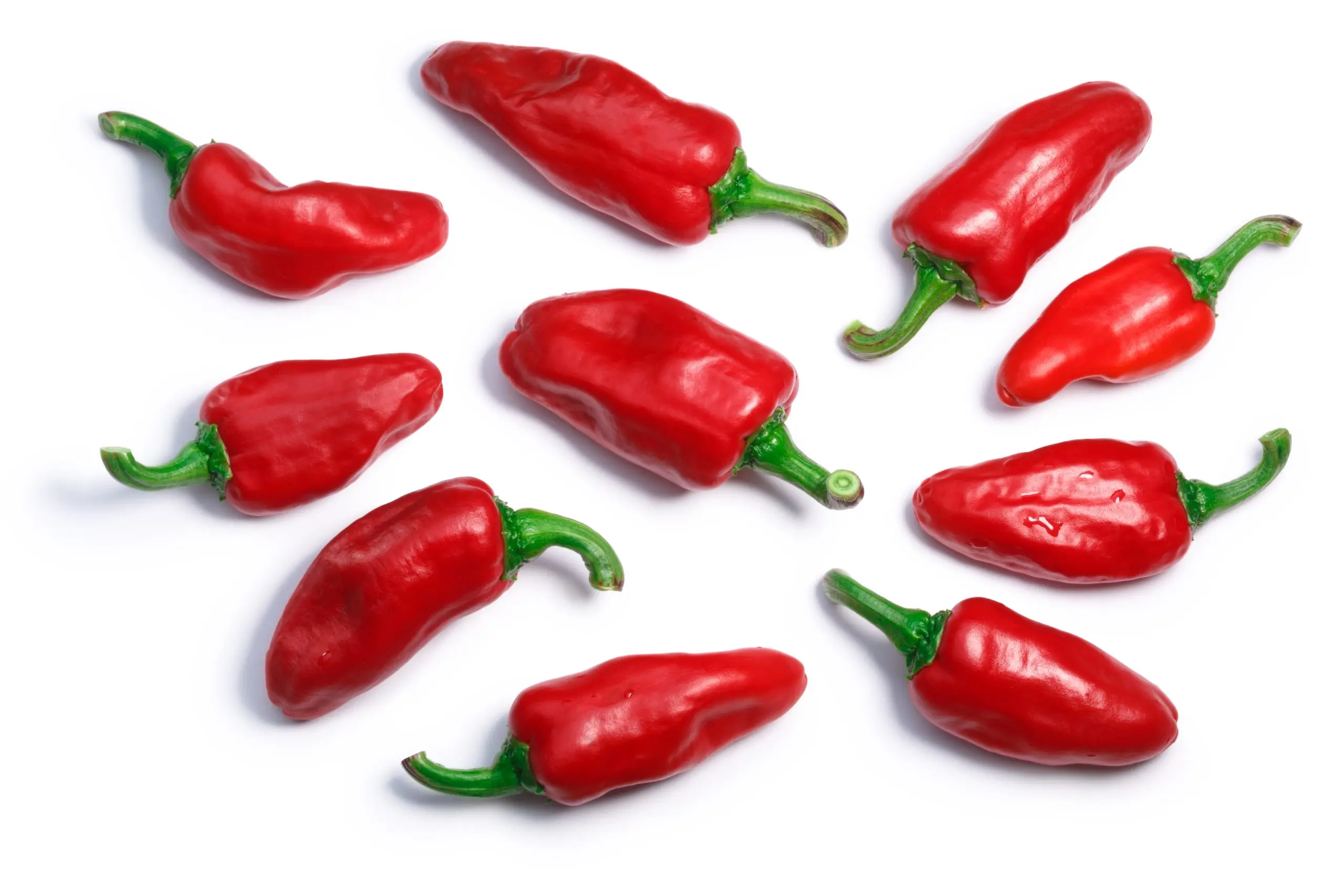 Varieties of red chilli pepper