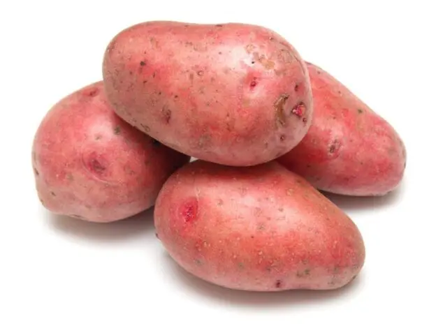 Varieties of red (or pink) potatoes with photos and descriptions