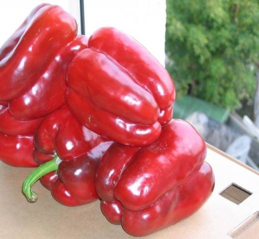 Varieties of red peppers