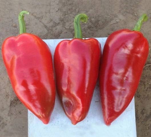 Varieties of red peppers