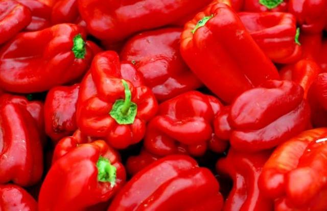 Varieties of red sweet long pepper