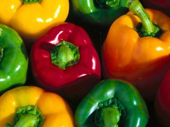 Varieties of red sweet long pepper