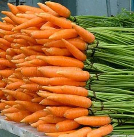 Varieties of small carrots