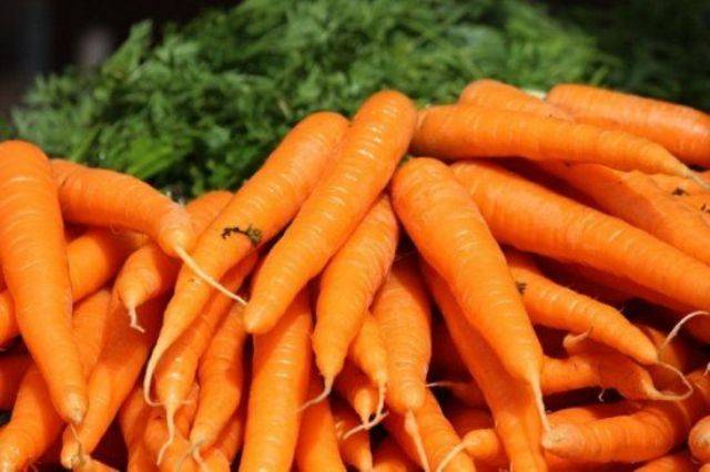 Varieties of small carrots