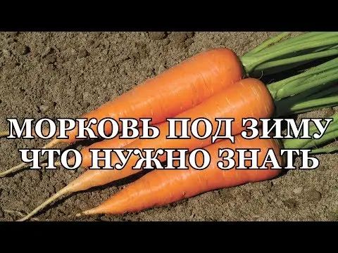 Varieties of small carrots