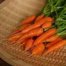 Varieties of small carrots