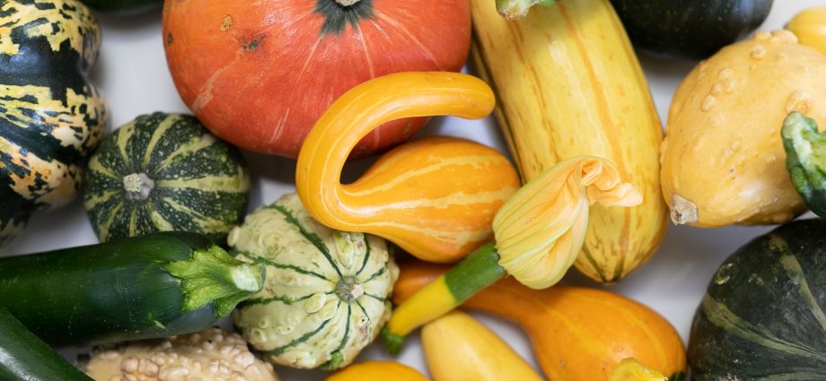 Varieties of squash for your garden: choose the most productive