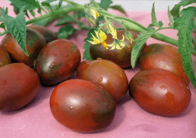 Varieties of tall tomatoes