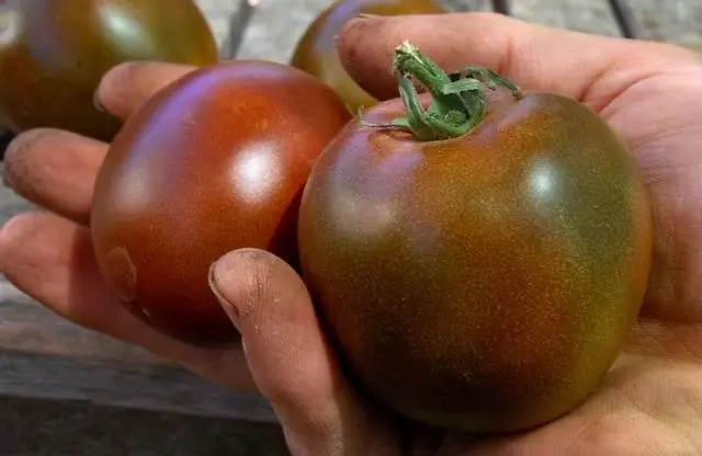 Varieties of tall tomatoes