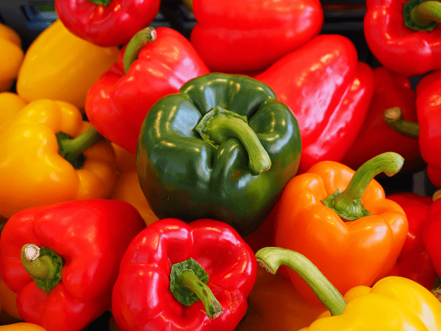 Varieties of the earliest peppers