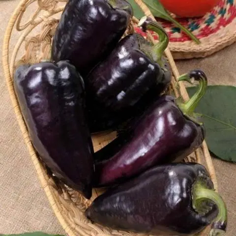 Varieties of the earliest peppers