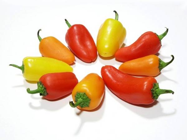 Varieties of the earliest peppers