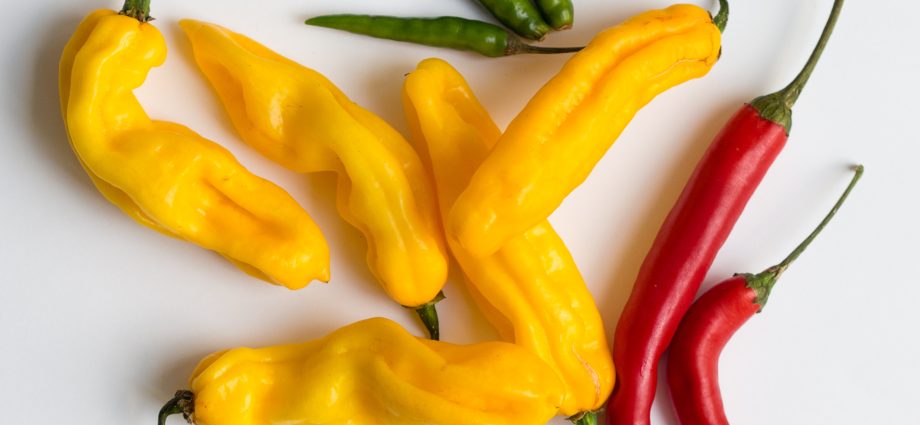 Varieties of the earliest peppers