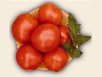 Varieties of tomatoes for Belarus: description, photo, reviews