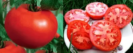 Varieties of tomatoes for central Our Country