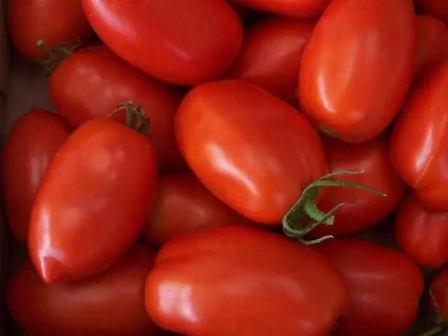 Varieties of tomatoes for central Our Country