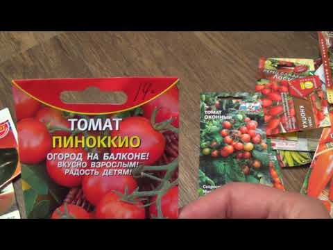 Varieties of tomatoes for the balcony