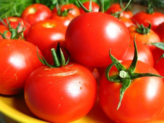 Varieties of tomatoes for the balcony