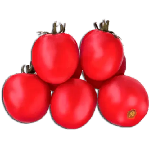 Varieties of tomatoes for the Krasnodar Territory