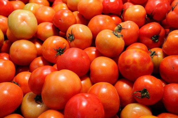 Varieties of tomatoes for the Krasnodar Territory