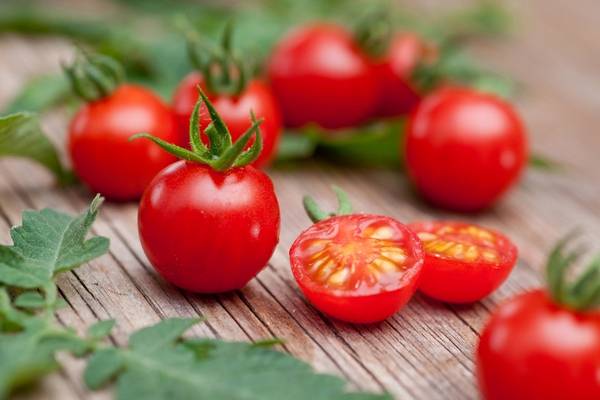 Varieties of tomatoes for the Moscow region