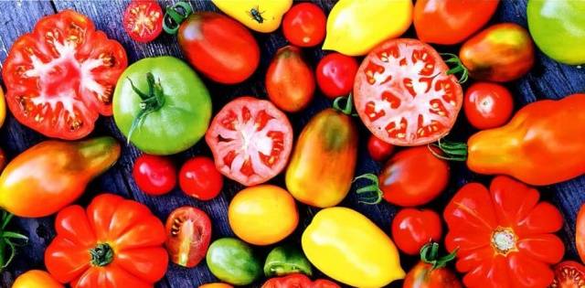 Varieties of tomatoes for the Moscow region